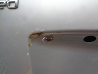 фото thumb №9, Крышка зад задняя багажника з стекло kia ceed cee'd 1 i универсал 2006- лак: 9s