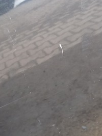 фото thumb №6, Дверь левый перед citroen c3 picasso exld