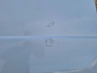 фото thumb №10, Дверь левая сдвижные fiat scudo ii 07-