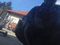 фото thumb №9, Капот крышка перед porsche cayman 987 lc9z 07r