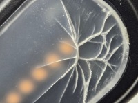 Citroen berlingo partner лампа led peugeot partner 9818012980 Недорого, фото thumb