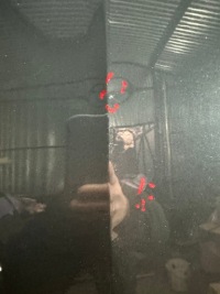 фото thumb №7, Капот кришка двигуна skoda octavia iii lift fl 5e