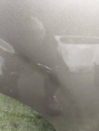 фото thumb №14, Дверь правое задняя задние subaru forester iv sj 4 13-