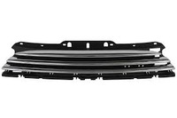 фото thumb №1, Решітка one / cooper, 2007-