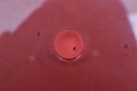 фото thumb №3, Стекло боковая левая перед передняя mini cooper r56 06-10