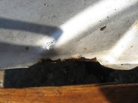 фото thumb №7, Крыло левый правый renault master ii 2 98-03