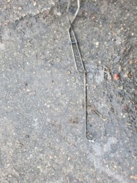 Дроти підсилювача master 3 movano master 3 комплект європа Київ, фото thumb