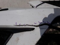 фото thumb №6, Seat ateca cupra 575 бампер передній перед