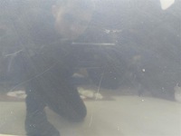 фото thumb №11, Капот кришка передня mazda mpv 2003r granatowa