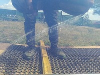 фото thumb №12, Renault clio iii hb двері задня правий nv432