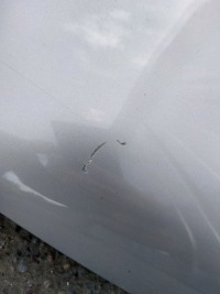 фото thumb №11, Капот кришка renault scenic ii 2 lift ted69 06-09