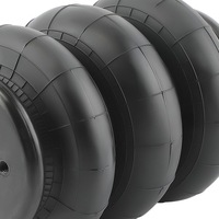 фото thumb №14, 2x сумка na підвіска пневматичний з potrójnym чохол 2600lbs