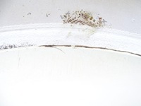 фото thumb №9, Mercedes sprinter 906 06- крыло левый перед