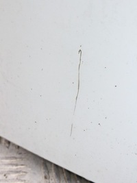 фото thumb №3, Двері ліва зсувні renault kangoo ii