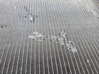 фото thumb №14, Радиатор wody volvo fe ii renault trucks c d tir