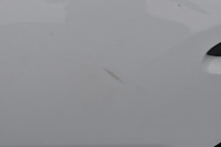 фото thumb №2, Dacia sandero ii дверь левый задняя