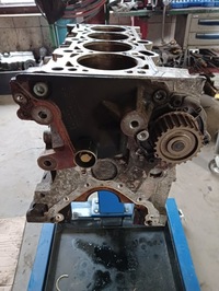 фото thumb №9, Блок двигуна vw audi 2.0 fsi axw | r06d103023