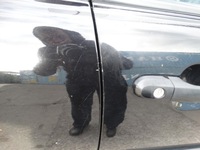 фото thumb №2, Двері праві перед передні kia sportage ii -10 9p