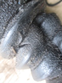 фото thumb №6, Приводной вал левая 8200725510 megane iii scenic iii 1.9dci