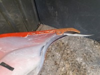 A1688850225 бампер задний  mercedes w168 красный Оригинал, фото thumb