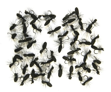 Foam Black Ant #14. Sucha mucha na klenia, imitacja mrówki