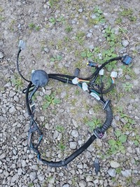 фото thumb №1, Джгут двері лівий перед qashqai j10 24124jd11a eu