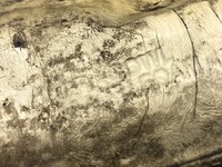 фото thumb №5, Жабо kia venga minivan