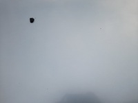 фото thumb №10, Honda civic vii капот кришка двигуна