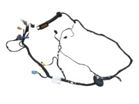 фото thumb №1, Audi e-tron 55 джгут двері pod камера 4ke971029ej