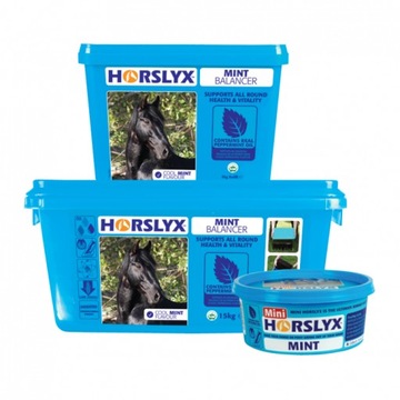 Витаминный лизун Horslyx Mint Balancer 0,65 кг