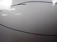 фото thumb №9, Дверь правые зад правые задние audi a5 8t sportback европа