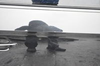 фото thumb №6, Audi a3 8v дверь правый задняя задние sedan