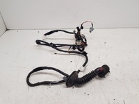 фото thumb №1, Hyundai ix35 жгут электропроводка дверь правый задняя