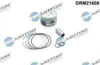 фото thumb №2, Dr.motor drm21608 поршень