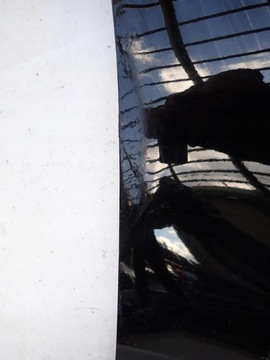 фото thumb №10, Audi a5 ii 2 8w 16- крило перед переднє правий