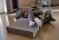 Когтеточка для кошек из картона Catnip WAVE
