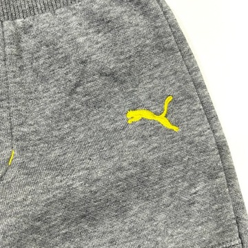 Спортивный костюм PUMA Серый 80