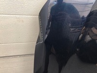 фото thumb №7, Капот mercedes c klasa w206