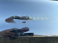 фото thumb №10, Дверь правый перед передние правое bmw x3 g01