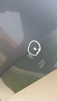 фото thumb №8, Suzuki swift mk7 vii 10- капот zcd