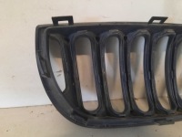 Bmw x3 e83 03-06 2.0d решітка радіатора ліва решітка радіатора решітка радіатора бампера перед 070172lh Недорого, фото thumb