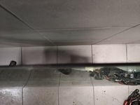 фото thumb №8, Механизм стекло правый задняя audi a8 d2 esg lubelskie