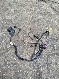 фото thumb №1, Электропроводка дверь левый перед seat leon ii 1p1971120e