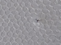 фото thumb №7, Консоль 2x подушка безопасности mini countryman r60