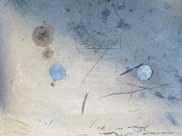 фото thumb №8, Захист двигуна нижня ford focus ii 04-11r 3m51r6p013a