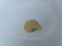 фото thumb №7, Tesla 3 капот