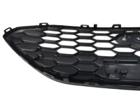 фото thumb №9, Решётка радиатора, решётка радиатора ford fiesta mk-8 lift st