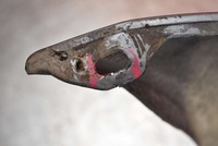 фото thumb №16, Бампер задняя задний 29y mazda 6 1 i gg 5d hb lift 02-05