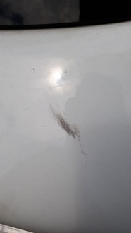 фото thumb №12, Кришка багажника багажника ford kuga mk1 58