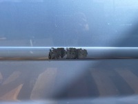 фото thumb №2, Двері правий перед ford focus mk2 jeans